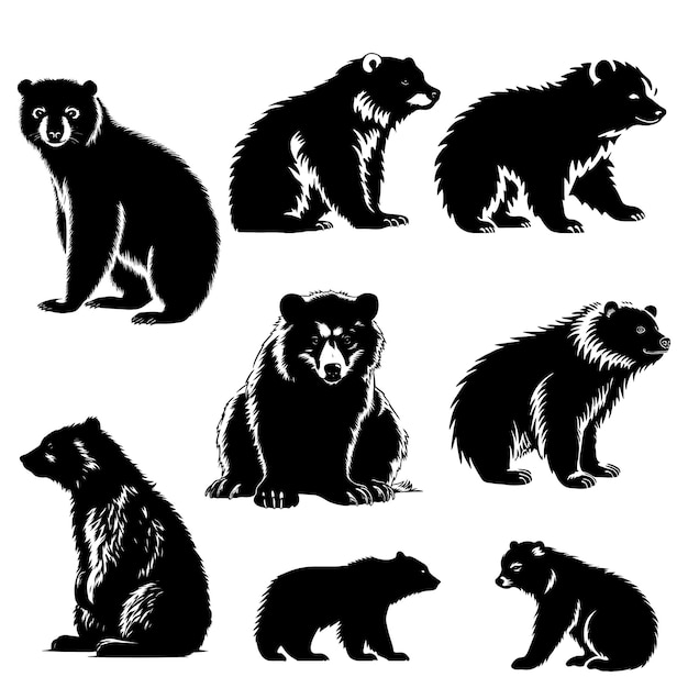 Free Vector black binturong illustration design