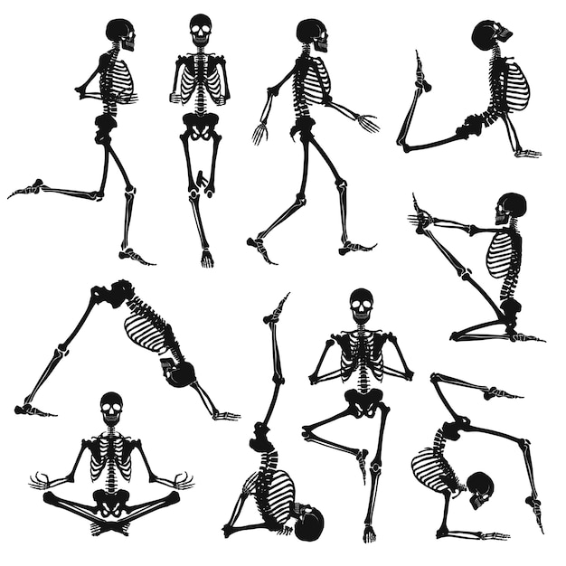 Black Human Skeletons