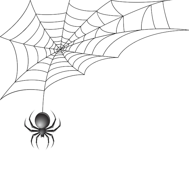 Black spider with spiderweb