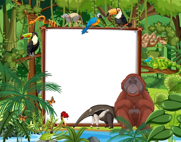 Free Vector blank banner in the rainforest scene with wild animals