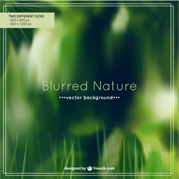 Free Vector blurred nature background