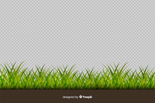 Free Vector border of grass realistic style