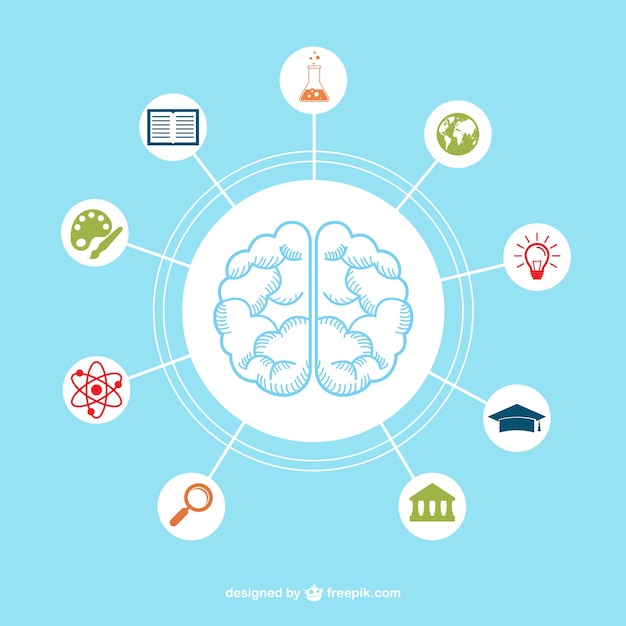 Free Vector brain with education icons