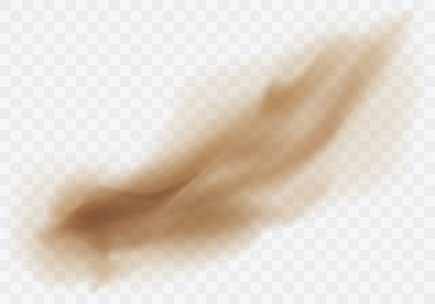 Free Vector brown dusty cloud