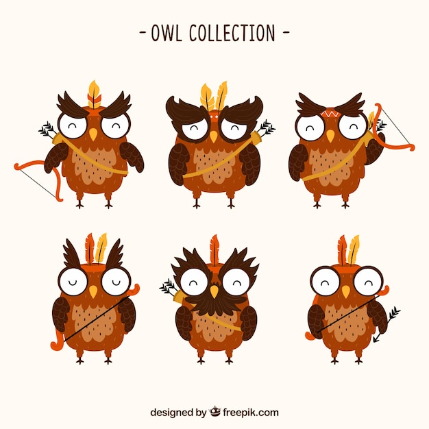 Free Vector brown owl collection