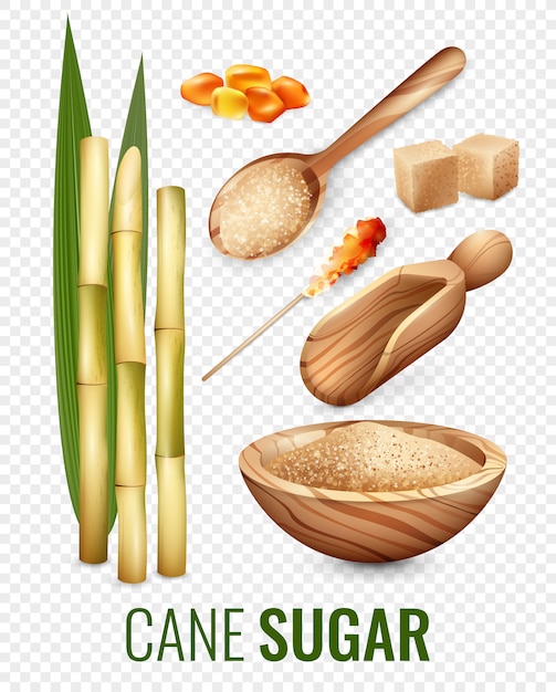 Free Vector cane sugar transparent set