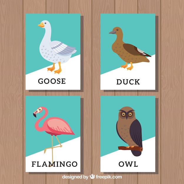 Free Vector card collection with variety of flat birds 