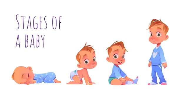 Free Vector cartoon stages of a baby boy