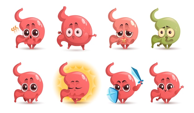 Free Vector cartoon stomach character cute mascot