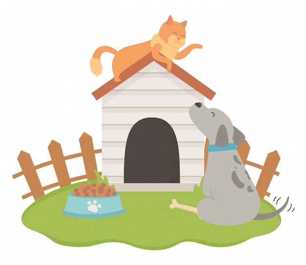 Cat and dog cartoon design