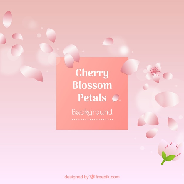 Free Vector cherry blossom petals background in gradient style 