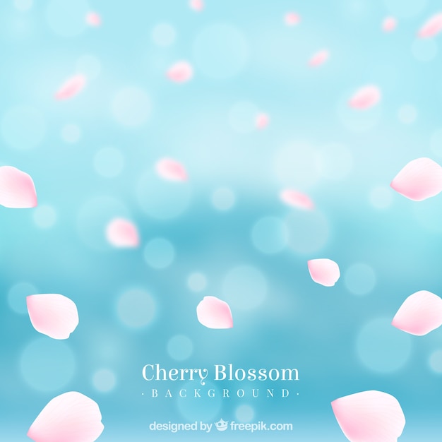 Free Vector cherry blossom petals background in realistic style