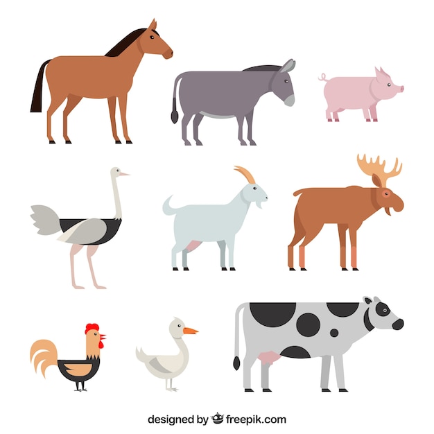 Free Vector classic pack of farm animals with flat design