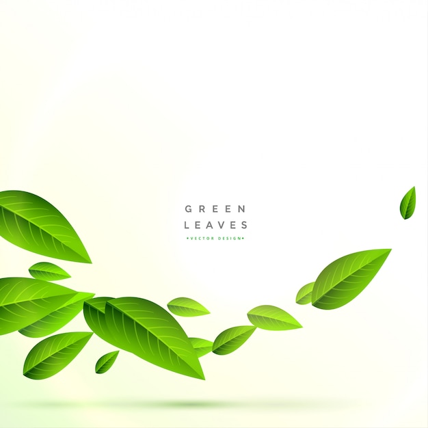 Free Vector clean flying green leaves background