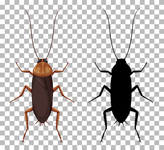 Free Vector cockroach with its silhouette isolated on transparent background