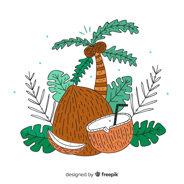 Free Vector coconuts