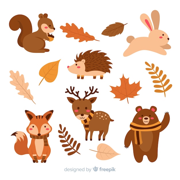 Free vector collection of autumn forest animals flat design