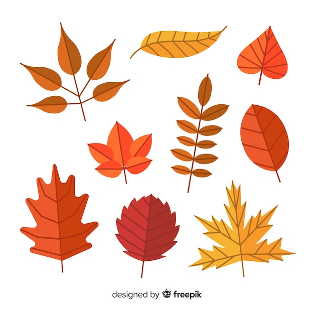 Free vector collection of autumn leaves flat design