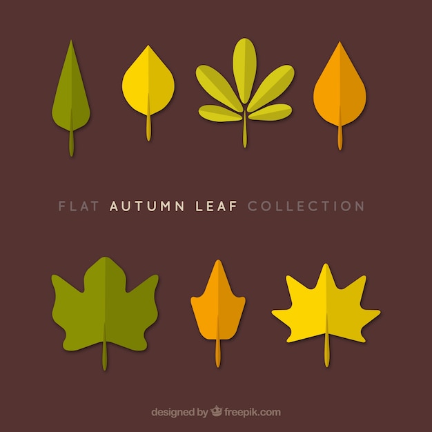 Free Vector collection of autumn leaves, flat style