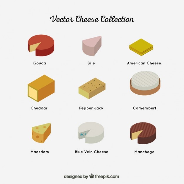 Free Vector collection of different types of cheese