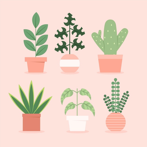 Free Vector collection of flat design houseplants