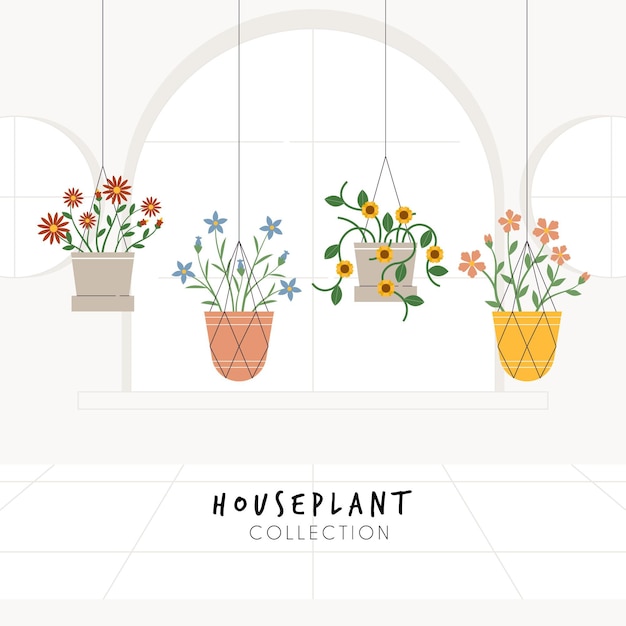 Free Vector collection of flat design houseplants