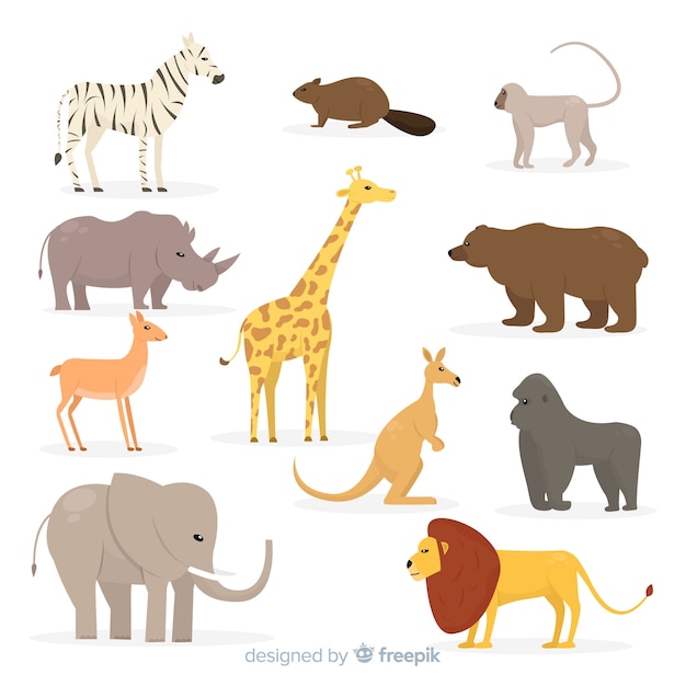 Free Vector collection of flat tropical animal