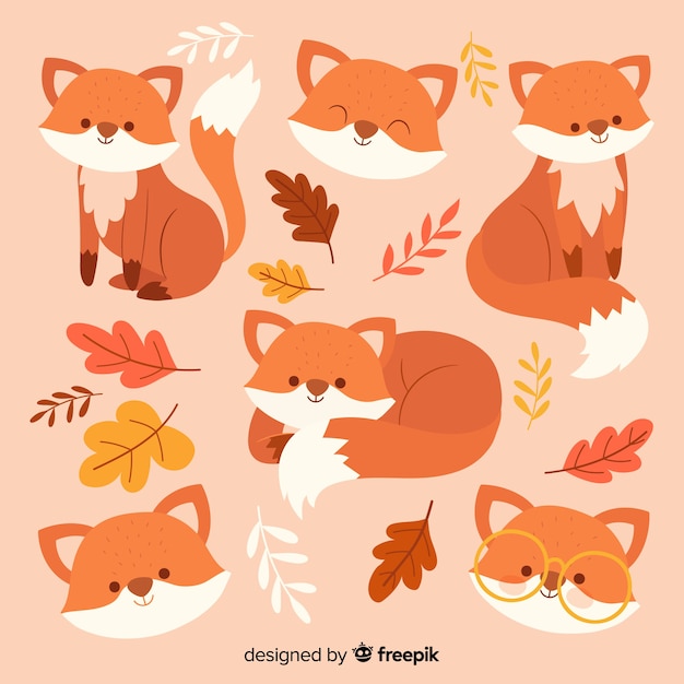 Collection of hand drawn foxes