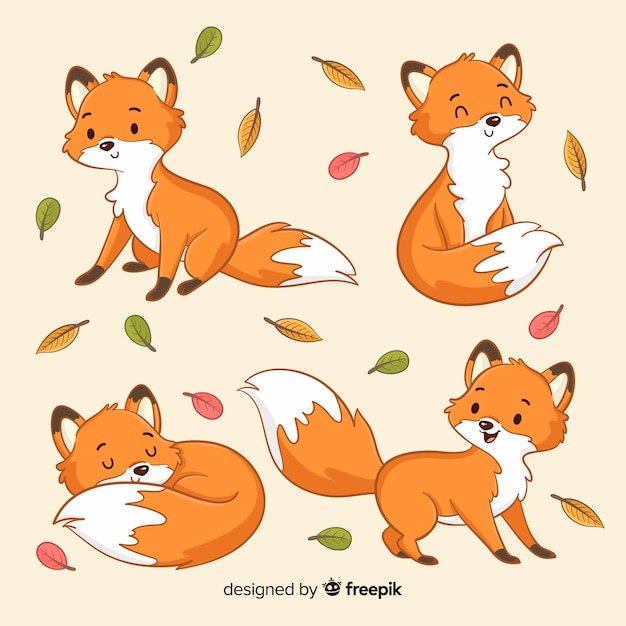Free vector collection of hand drawn foxes