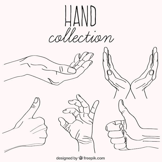 Free vector collection of hand sketches