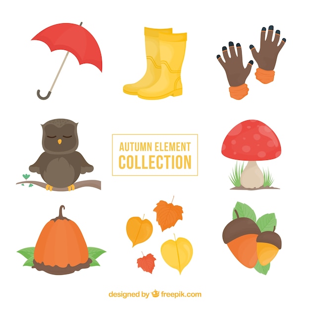 Free Vector collection of natural element of autumn and owl