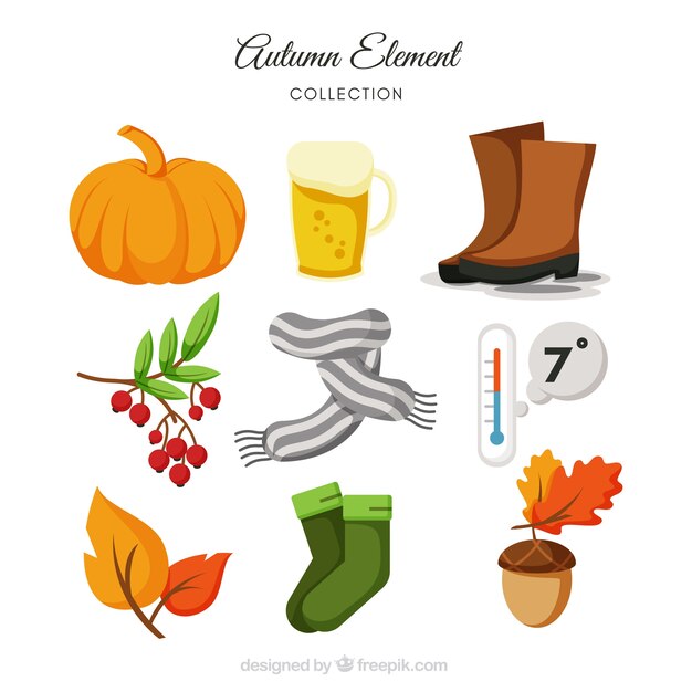 Collection of scarf and other elements of autumn