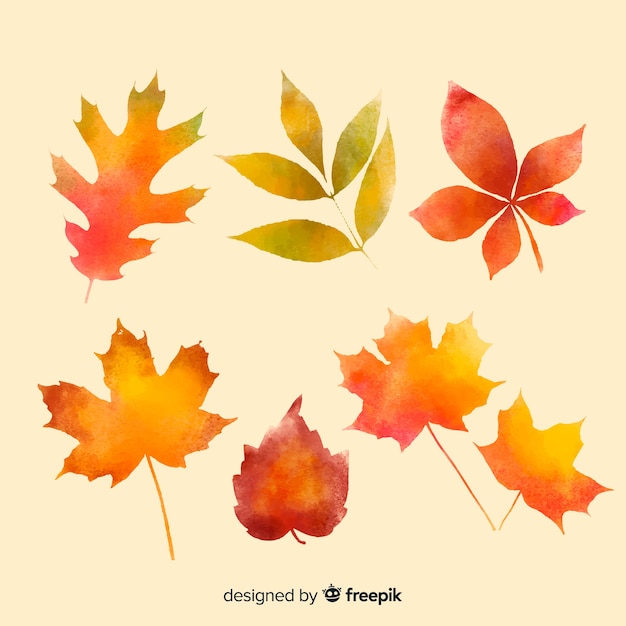 Free vector collection of watercolor autumn leaves
