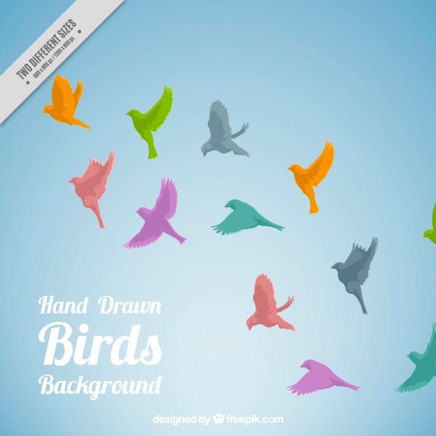 Colored birds flying background