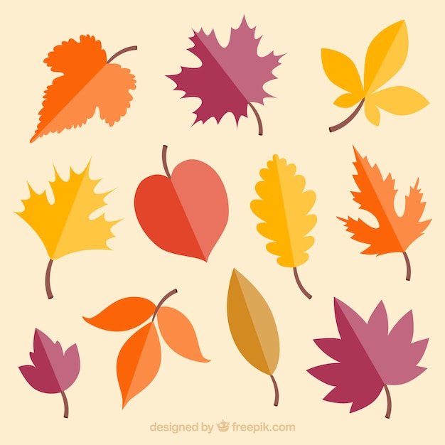 Free vector colorful autumn leaves collection