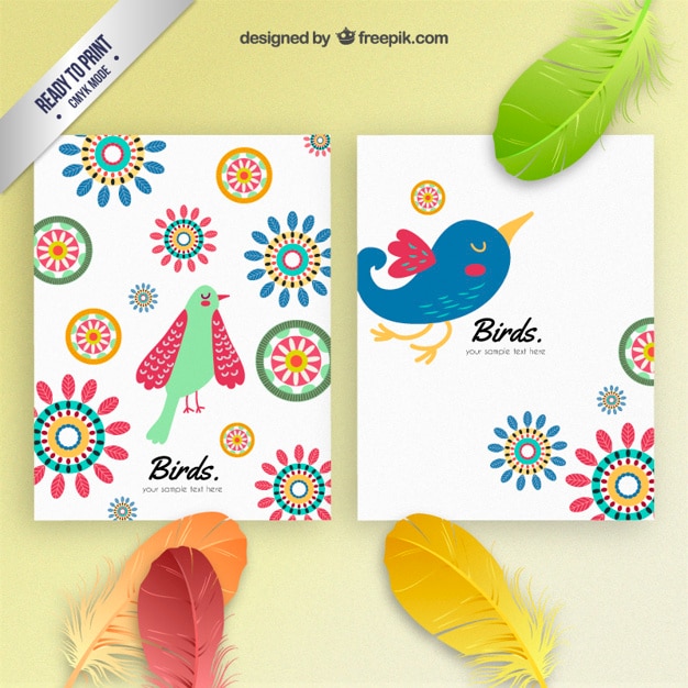 Free Vector colorful birds brochures