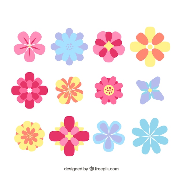 Free Vector colorful flowers collection in flat style