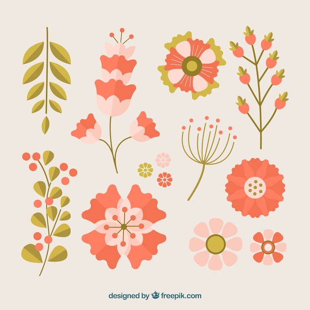 Free Vector colorful flowers collection in flat style