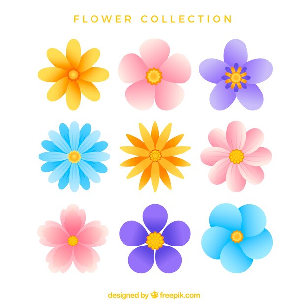 Colorful flowers collection in flat style