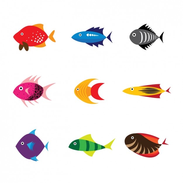 Coloured fishes collection