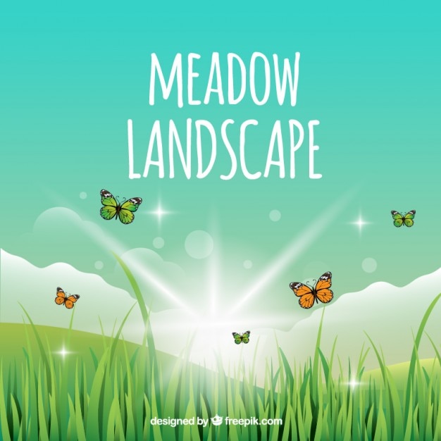 Free Vector coloured meadow background