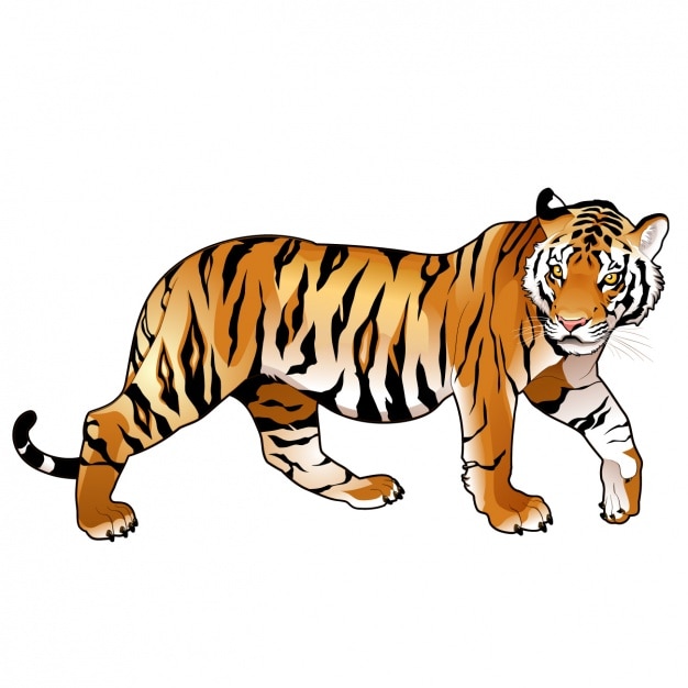 Free vector coloured tiger design