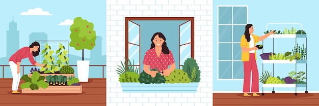 Free vector community garden three square compositions with young women choosing flowers and plants for urban planting flat vector illustration