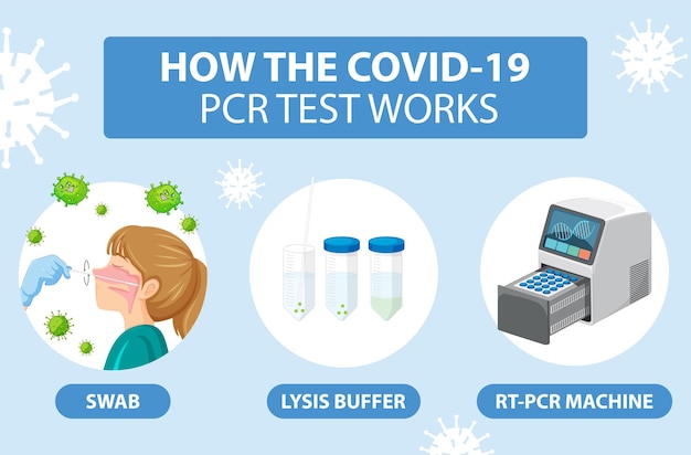 Free Vector covid 19 testing with antigen test kit