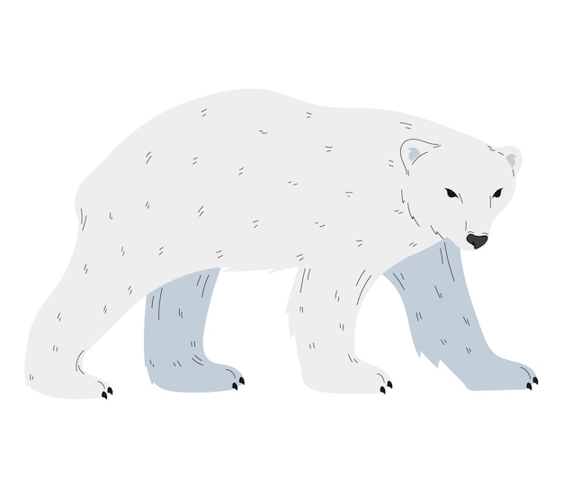 Free Vector cute arctic bear design