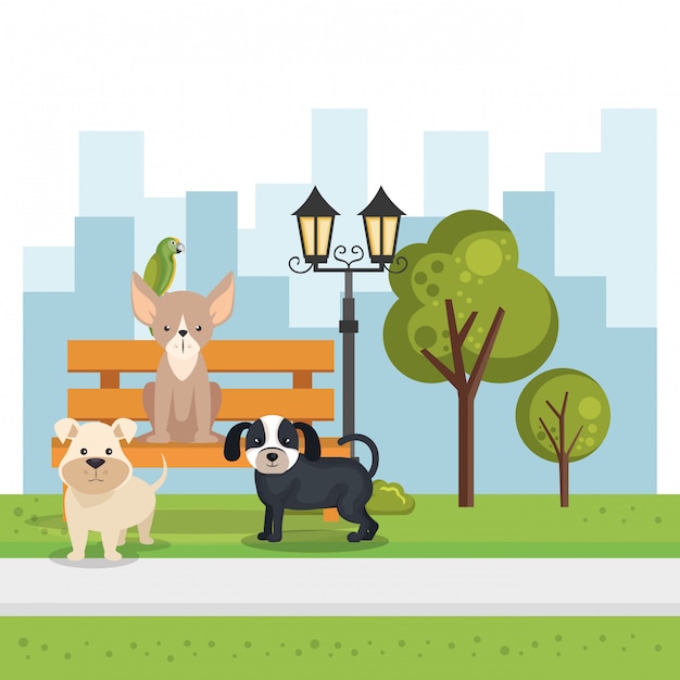 Free Vector cute dogs in the park scene