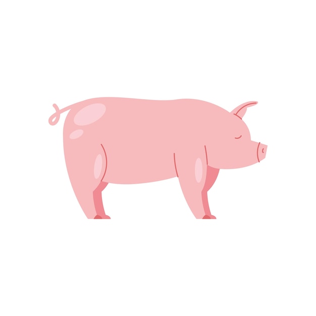 Free Vector cute piglet standing