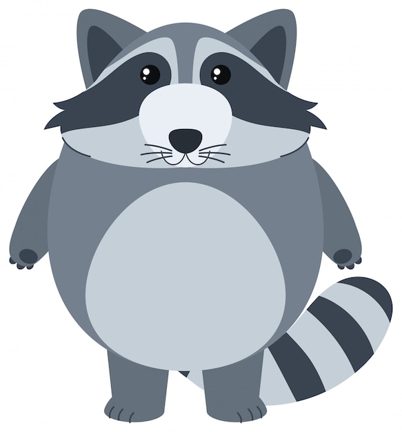 Free vector cute raccoon with happy face