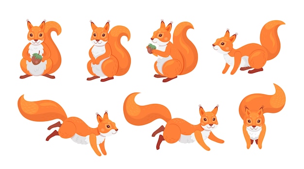 Free vector cute red squirrel set