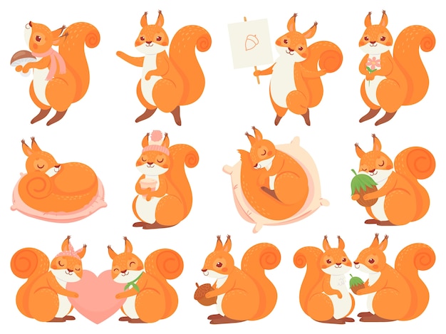 Free vector cute squirrel cartoon mascot